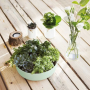 Салатник Luminarc Paradise Green  22см V5846