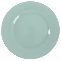 Тарелка обеденная Luminarc PLUMI LIGHT TURQUOISE 24см V9044