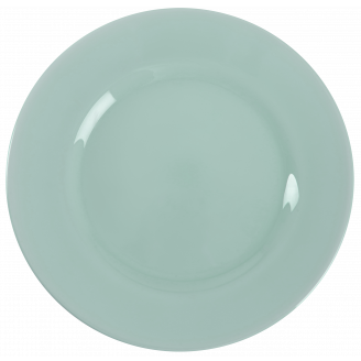 Тарелка обеденная Luminarc PLUMI LIGHT TURQUOISE 24см V9044