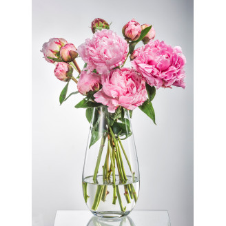 Ваза Bohemia Crystal Margo Plain 305 мм B82237-305