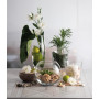 Ваза Pasabahce Botanica 26 см 43966