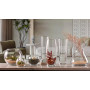 Ваза Pasabahce Botanica 26 см 43966