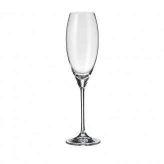 Набор бокалов для шампанского Bohemia Carduelis 290 мл 6 шт b1SF06-407727