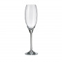 Набор бокалов для шампанского Bohemia Carduelis 290 мл 6 шт b1SF06-407727