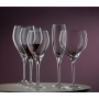 Набор бокалов для шампанского Bohemia Lenny 210мл-6шт 40861 210